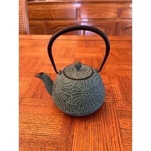 Japanese cast iron tea kettle